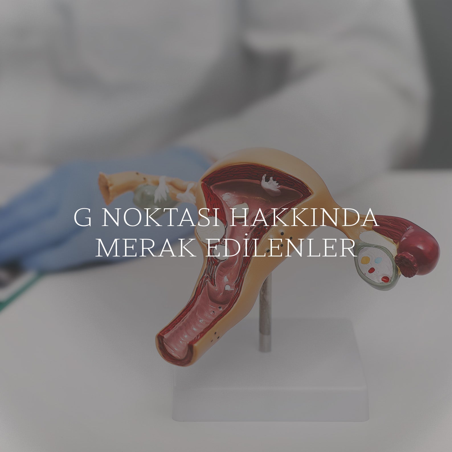 G Noktası Hakkında Merak Ettiğiniz Her Şey!