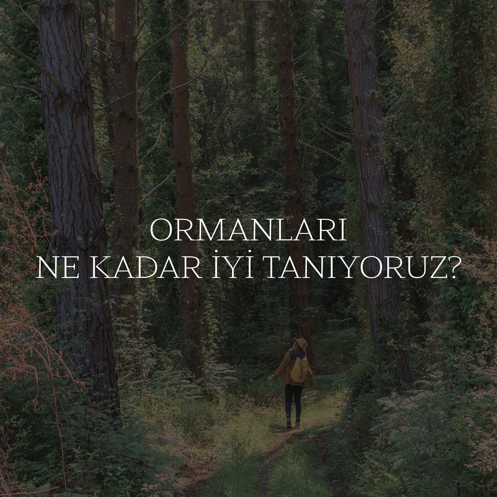 Ormanları Ne Kadar İyi Tanıyoruz?